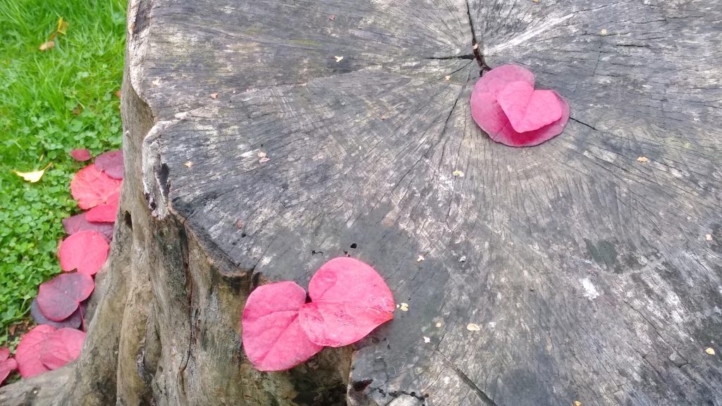 wooden heart