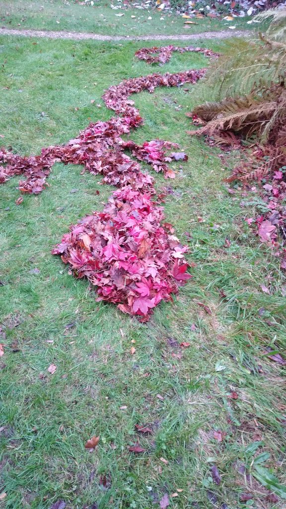 pic of leaf lizard ephemeral art work created with red leaves Jacqueline Rolls