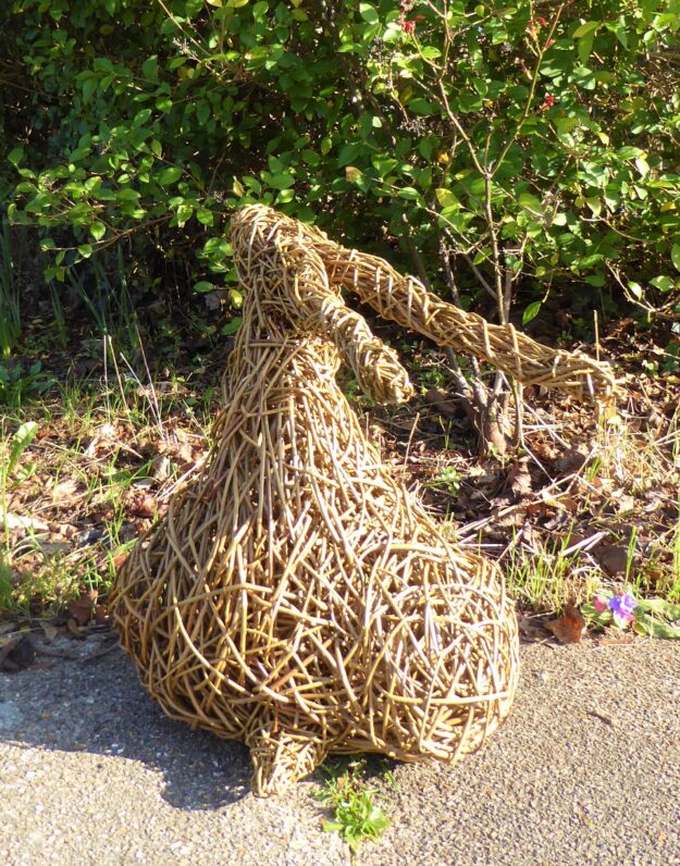 medium willow hare sculpture with fat bottom sitting on pavement next to hedge , photographed from back view